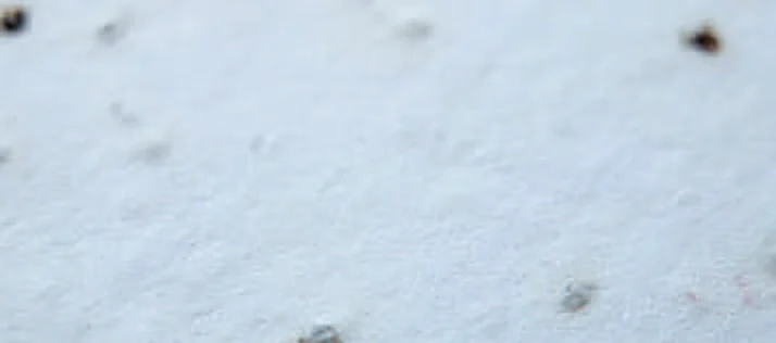 Seed paper